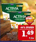 Activia Joghurt Angebote von Danone bei Marktkauf Plauen für 1,49 €