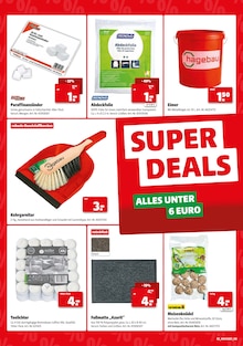 Aktueller hagebau kompakt Prospekt "SUPER DEALS" Seite 2 von 8 Seiten