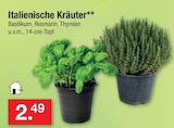 Aktuelles Italienische Kräuter Angebot bei Zimmermann in Oldenburg ab 2,49 €
