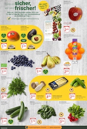 Mango im GLOBUS Prospekt in Willich Aktueller GLOBUS Prospekt mit Mango, "Aktuelle Angebote", Seite 9