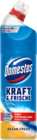 WC Gel Kraft & Frische Angebote von Domestos bei budni Buxtehude für 1,59 €