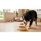 Croquettes pour chiens - ULTIMA - Carrefour à Neuilly-sur-Seine Croquettes pour chiens - ULTIMA en promo chez Carrefour Neuilly-sur-Seine à 20,99 €