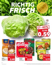 Topf im Kaufland Prospekt in Kleve Aktueller Kaufland Prospekt mit Topf, "Hier bin ich richtig", Seite 2