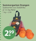 Sommergarten Orangen von  im aktuellen V-Markt Prospekt für 2,99 €