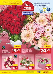 Blumen im Netto Marken-Discount Prospekt "Aktuelle Angebote" mit 65 Seiten (Siegen (Universitätsstadt))