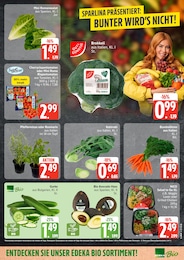 Gurken Angebot im aktuellen EDEKA Prospekt auf Seite 3