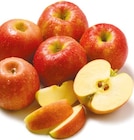 Äpfel im Netto mit dem Scottie Prospekt Äpfel von Pink Lady im aktuellen Netto mit dem Scottie Prospekt für 2,29 €