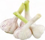 EDEKA Prisdorf - Frischer Knoblauch Angebot im Prospekt Frischer Knoblauch bei EDEKA im Prisdorf Prospekt für 0,99 €