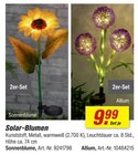 Solar-Blumen Angebote bei toom Baumarkt Singen für 9,99 €