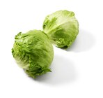 Eisbergsalat im Angebot bei Lidl in Pforzheim Eisbergsalat Angebote bei Lidl Pforzheim für 0,77 €