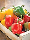 Promo Poivron Tricolore à 1,49 € dans le catalogue Intermarché Super à Gamaches