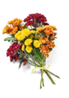 Deko-Chrysanthemen von  im aktuellen Kaufland Prospekt für 3,49 €