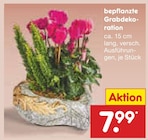 bepflanzte Grabdekoration Angebote bei Netto Marken-Discount Norderstedt für 7,99 €