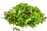 Bio Crispy Salatmix Angebote von REWE Bio bei REWE Dresden für 0,99 €
