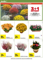 Chrysanthèmes Angebote im Prospekt "ALCOOLS & BIÈRES" von Carrefour Chrysanthèmes Angebote im Prospekt "ALCOOLS & BIÈRES" von Carrefour auf Seite 57