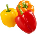 Paprika Mix im Angebot bei REWE in Niederkassel Paprika Mix Angebote von REWE Beste Wahl bei REWE Niederkassel für 1,49 €