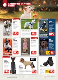 Prix et réduction Collier Chien dans le prospectus Animalis en cours Offre Collier Chien dans le catalogue Animalis du moment à la page 8