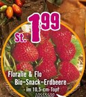 Hornbach Oftersheim - Bio-Snack-Erdbeere Angebot im Prospekt Bio-Snack-Erdbeere bei Hornbach im Oftersheim Prospekt für 1,99 €