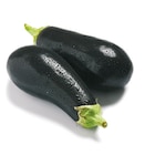 Aubergine bei Netto mit dem Scottie im Senftenberg Prospekt für 1,11 €