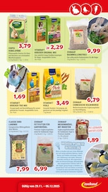 Aktueller Zookauf Prospekt mit Perlen, "Alles für tierische Verwöhn-Momente", Seite 13