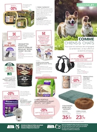 Offre Alimentation Chien dans le catalogue Truffaut du moment à la page 7