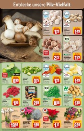 Ähnliche Streusalz Angebote im Prospekt "Dein Markt" von REWE in Regensburg Ähnliche Angebote wie Streusalz im Prospekt "Dein Markt" auf Seite 7 von REWE in Regensburg
