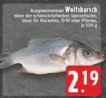 EDEKA Velbert - Ausgenommener Wolfsbarsch Angebot im Prospekt Ausgenommener Wolfsbarsch bei EDEKA im Velbert Prospekt für 2,19 €