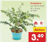 Eukalyptus für 3,49 € bei Netto Marken-Discount im Angebot Eukalyptus im aktuellen Netto Marken-Discount Prospekt