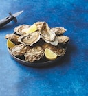 Huitre Fine de Normandie IGP N°3 - U en promo chez Super U Puteaux à 13,50 €