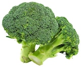 Broccoli im Angebot bei REWE in Zwickau Broccoli Angebote bei REWE Zwickau für 1,11 €