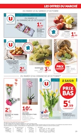 Promos Plante Verte dans le catalogue "LES PRODUITS U À PRIX BAS" de Super U Plante Verte en promo dans le catalogue Super U à la page 29
