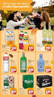 Gin im aktuellen REWE Prospekt (Hannover) Gin im REWE Prospekt "Dein Markt" mit 30 Seiten (Hannover)