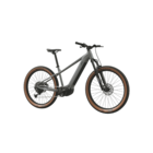 Aktuelle Fisch Angebote bei Lidl in Ingolstadt Aktuelles E-Mountainbike Angebot bei Lidl in Ingolstadt ab 1.599,00 €