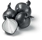 Zwiebeln rot bei Netto Marken-Discount im Coswig Prospekt für 1,29 €
