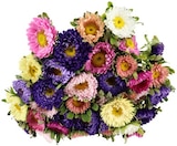 Aktuelle Blumen Angebote bei REWE in Kassel Aktuelles Sommerastern Angebot bei REWE in Kassel ab 2,49 €