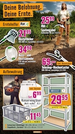 Obst im Hornbach Prospekt in Wuppertal Aktueller Hornbach Prospekt mit Obst, "Dir ist vieles Latte. Nur nicht Dein Garten.", Seite 17