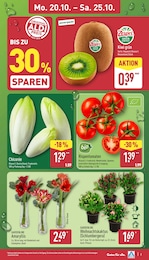 Amaryllis Angebot & Preis im aktuellen ALDI Nord Prospekt Amaryllis Angebot im aktuellen ALDI Nord Prospekt auf Seite 3