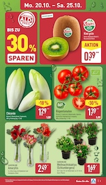 Salat im ALDI Nord Prospekt in Wolfsburg Aktueller ALDI Nord Prospekt mit Salat, "Aktuelle Angebote", Seite 3