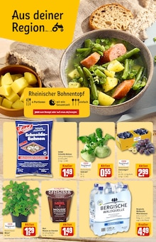 Kohlrabi im aktuellen REWE Prospekt (Bonn) Kohlrabi im REWE Prospekt "Dein Markt" mit 40 Seiten (Bonn)