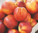 Nectarine - Netto Nectarine à 2,49 € dans le catalogue Netto