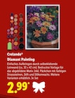 Diamant Painting im Angebot bei Lidl in Bayreuth Diamant Painting Angebote von Crelando bei Lidl Bayreuth