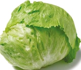 GO Regio Eisbergsalat bei Netto mit dem Scottie im Weißenfels Prospekt für 1,11 €