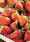 Fraise Ronde dans le catalogue Intermarché