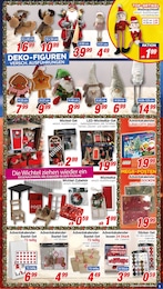 CENTERSHOP Zaun im Prospekt 