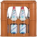 Aktuelles Salinger Mineralwasser Angebot bei Kaufland in Düsseldorf ab 2,29 €