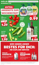 Aktueller Kaufland Prospekt mit Tomaten, "EXTRA-ANGEBOTE", Seite 8