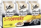 Sachets fraîcheur pour chat Délices du Jour en Sauce au Poulet à la Dinde - SHEBA dans le catalogue Géant Casino