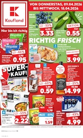 Aktueller Kaufland Supermarkt Prospekt in Dorfen und Umgebung, "Aktuelle Angebote" mit 58 Seiten, 09.04.2026 - 15.04.2026