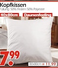Aktuelle Kopfkissen Angebote bei Wreesmann in Bremerhaven Aktuelles Kopfkissen 40x80cm Angebot bei Wreesmann in Bremerhaven ab 7,99 €