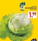 Aktuelle Salat Angebote bei Marktkauf in Duisburg Aktuelles Bio-Eisbergsalat Angebot bei Marktkauf in Duisburg ab 1,99 €